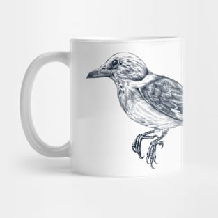 Pirol Mug